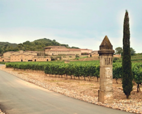Фруктовые вина Grand Wine Collection  и итальянские вина La Delizia в свежем выпуске Винной Карты